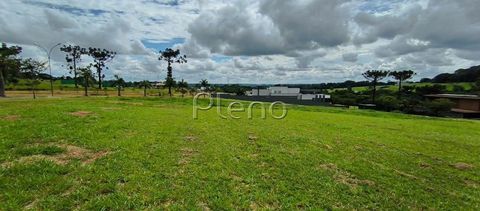 Foto Terreno