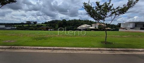 Foto Terreno