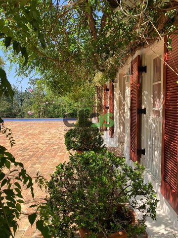 Foto Fazenda / Sítio / Chácara