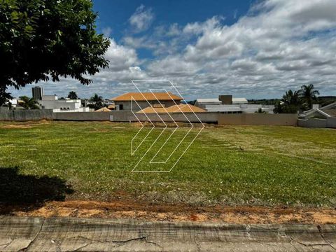 Foto Terreno