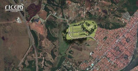 Foto Terreno
