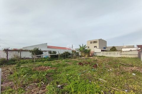 Foto Terreno