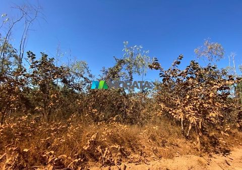 Foto Fazenda / Sítio / Chácara