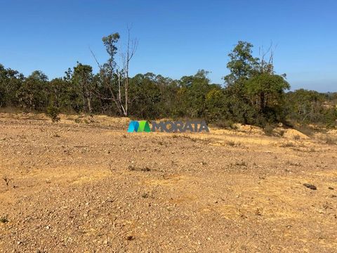 Foto Fazenda / Sítio / Chácara