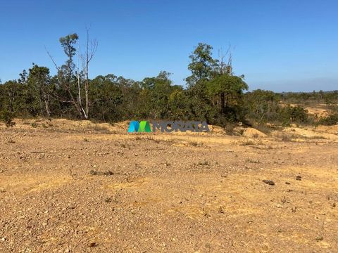 Foto Fazenda / Sítio / Chácara