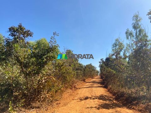 Foto Fazenda / Sítio / Chácara