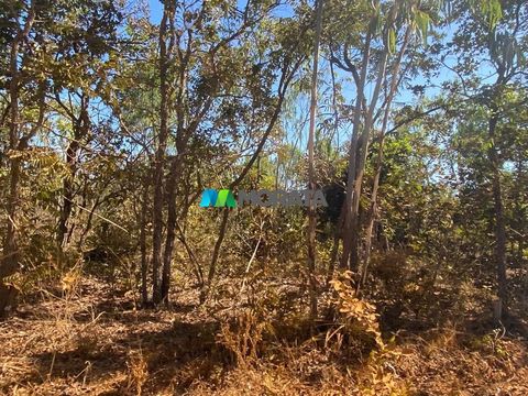 Foto Fazenda / Sítio / Chácara