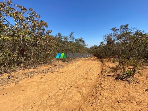 Foto Fazenda / Sítio / Chácara