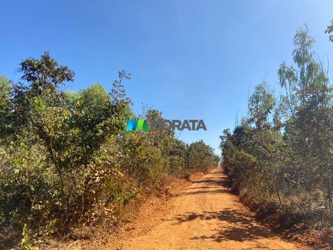 Foto Fazenda / Sítio / Chácara