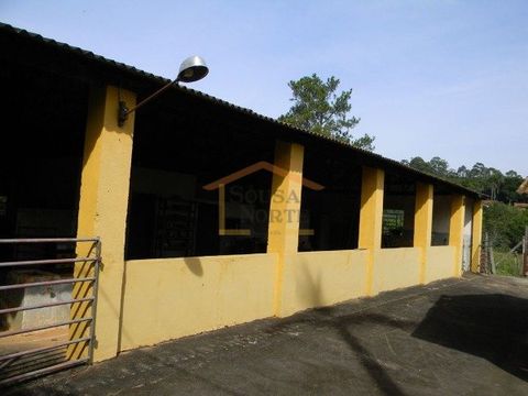 Foto Fazenda / Sítio / Chácara