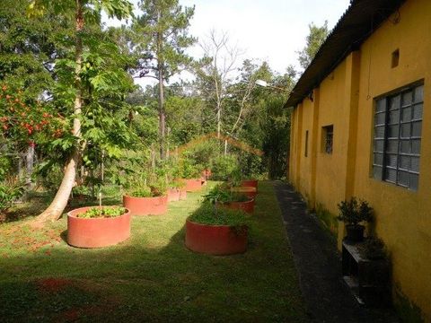 Foto Fazenda / Sítio / Chácara
