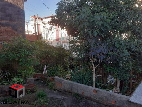 Foto Terreno