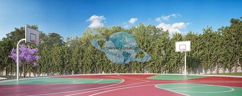Foto Terreno