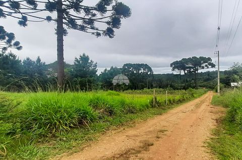 Foto Terreno
