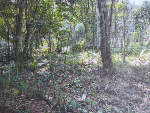 Foto Fazenda / Sítio / Chácara