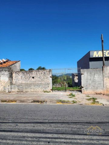 Foto Terreno