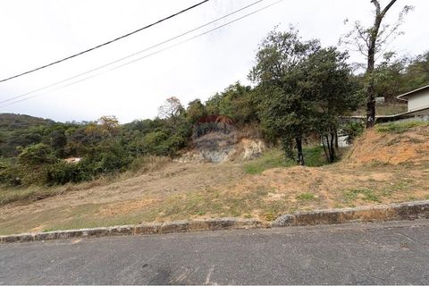 Foto Fazenda / Sítio / Chácara