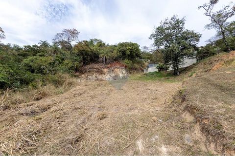Foto Fazenda / Sítio / Chácara