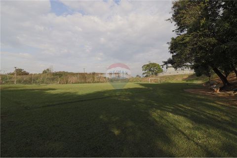 Foto Terreno