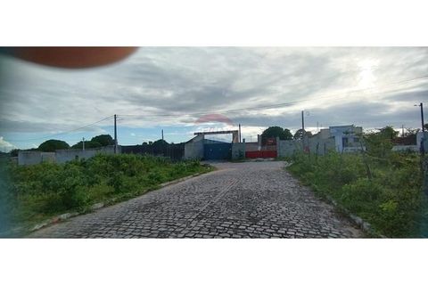 Foto Terreno