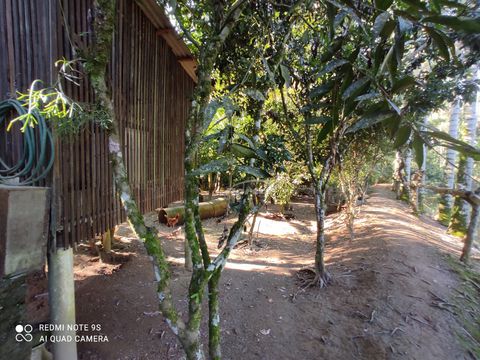 Foto Fazenda / Sítio / Chácara