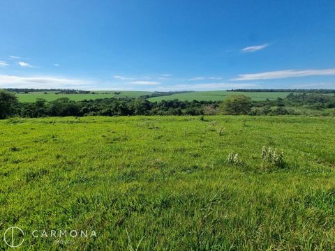 Foto Fazenda / Sítio / Chácara