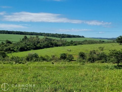Foto Fazenda / Sítio / Chácara
