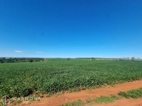 Foto Fazenda / Sítio / Chácara