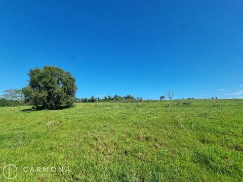 Foto Fazenda / Sítio / Chácara
