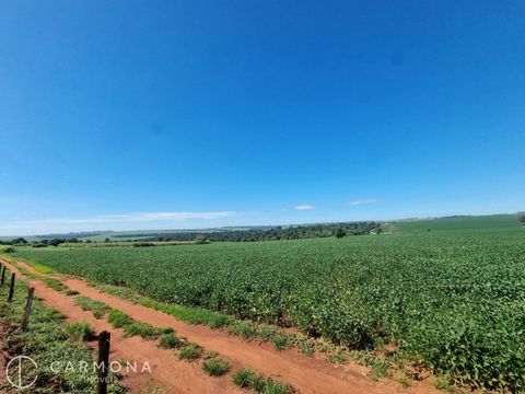 Foto Fazenda / Sítio / Chácara