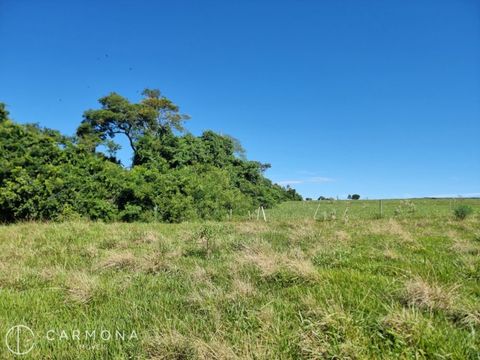 Foto Fazenda / Sítio / Chácara