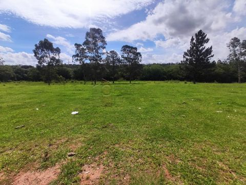 Foto Terreno