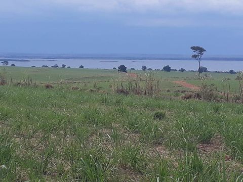 Foto Fazenda / Sítio / Chácara