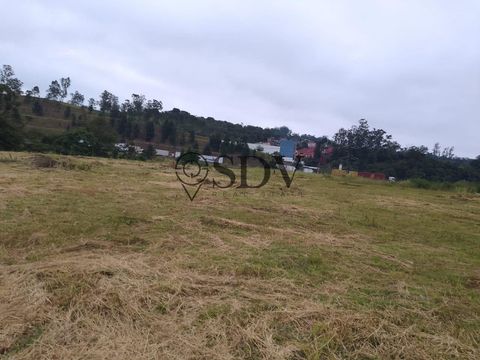 Foto Terreno