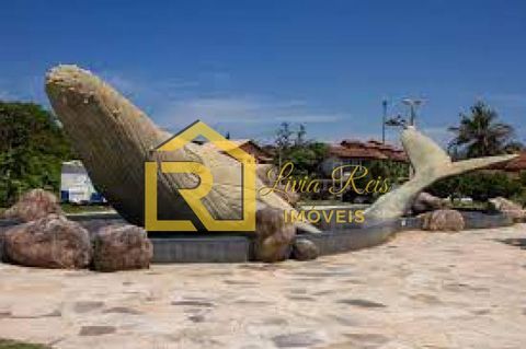 Foto Terreno