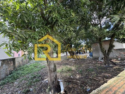 Foto Terreno