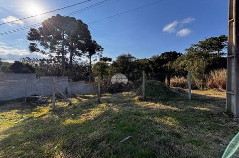 Foto Terreno