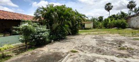 Foto Fazenda / Sítio / Chácara