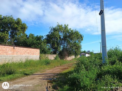 Foto Terreno