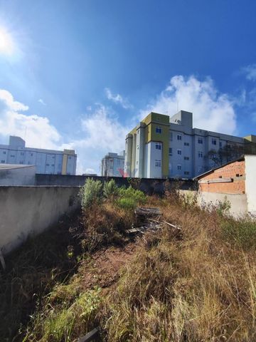 Foto Terreno