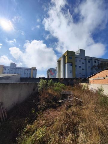 Foto Terreno