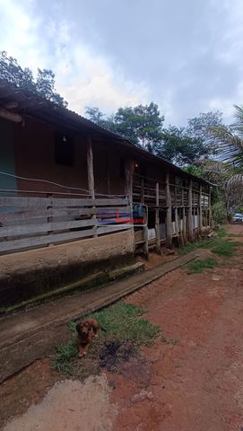 Foto Fazenda / Sítio / Chácara