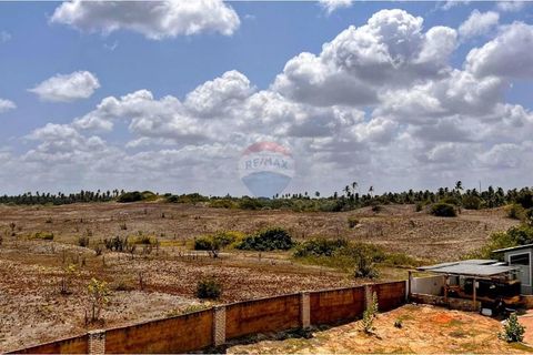Foto Terreno