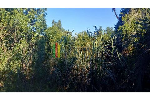 Foto Fazenda / Sítio / Chácara
