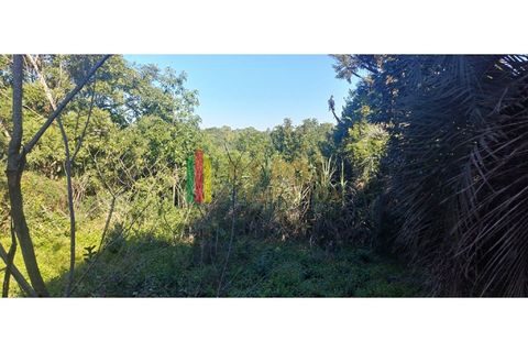 Foto Fazenda / Sítio / Chácara