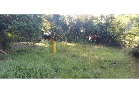 Foto Fazenda / Sítio / Chácara
