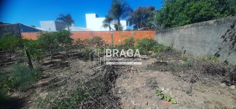 Foto Terreno