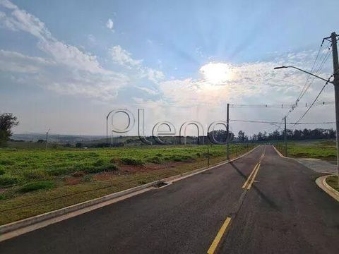 Foto Terreno