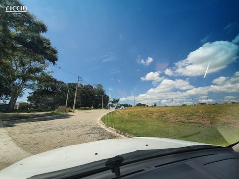 Foto Terreno