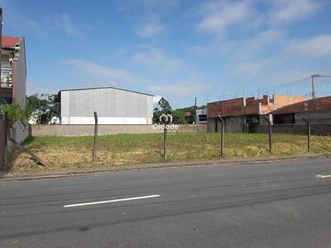 Foto Terreno